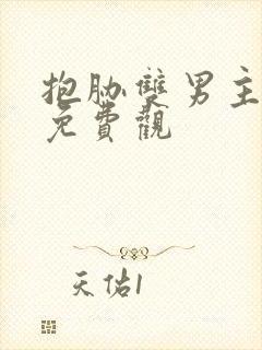 抱胁双男主泰剧免费观封面