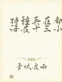 特种兵在都市杨洛夜十三小说封面