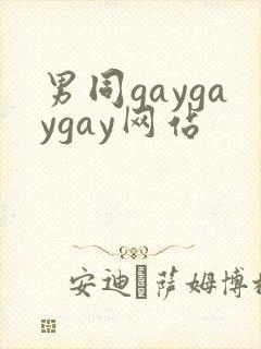 男同gaygaygay网站封面