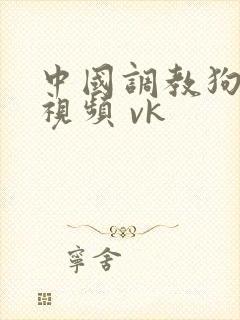 中国调教狗奴一视频 vk