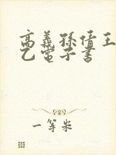 高义孙倩王申王乙电子书