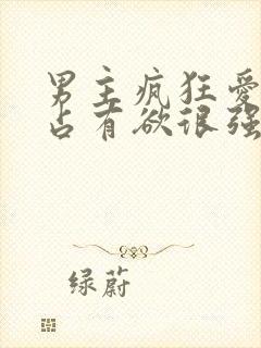 男主疯狂爱女主占有欲很强的小说