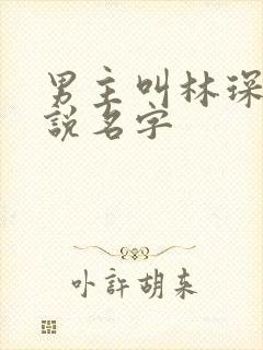 男主叫林琛的小说名字