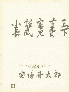 小说家有王妃初长成免费下载