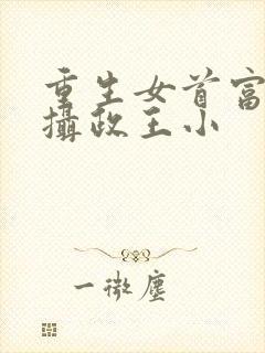 重生女首富娇养摄政王小
