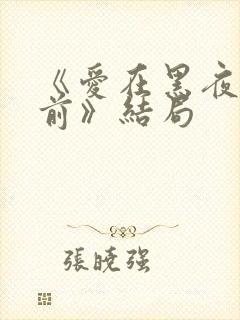 《爱在黑夜降临前》结局封面