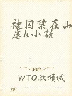 被囚禁在山村淫虐h小说