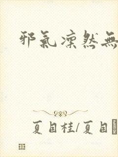 邪气凛然无弹窗