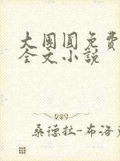 大团圆免费阅读全文小说封面