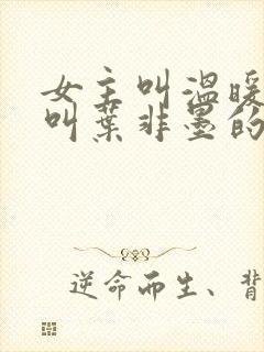 女主叫温暖男主叫叶非墨的小说名字封面