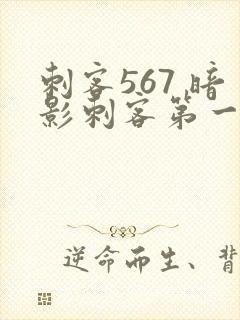 刺客567 暗影刺客第一季