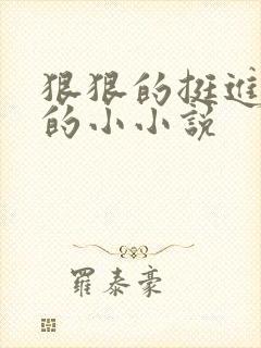 狠狠的挺进魅魔的小小说