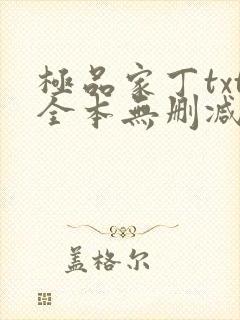 极品家丁txt全本无删减封面