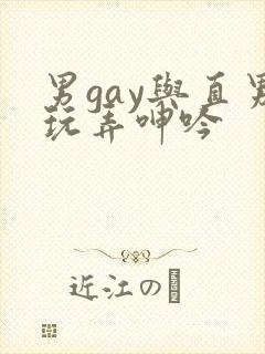 男gay与直男玩弄呻吟
