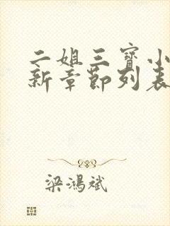 二姐三宝小说最新章节列表