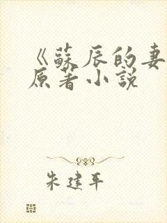 《苏辰的妻子》原著小说