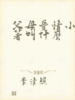 父母爱情小说原著叫什么