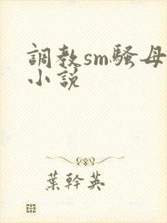 调教sm骚母狗小说