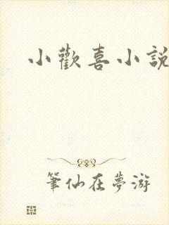 小欢喜小说