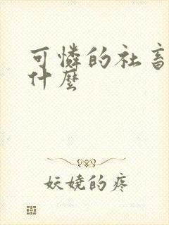 可怜的社畜讲的什么封面