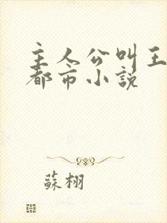 主人公叫王浩的都市小说封面