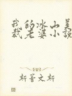 我的冰山美女总裁老婆小说