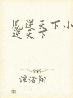 凤逆天下小说凤逆天下封面