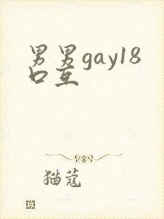男男gay18口互