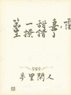 第一甜妻,霍先生撩错了