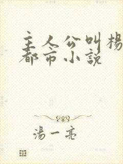 主人公叫杨帆的都市小说