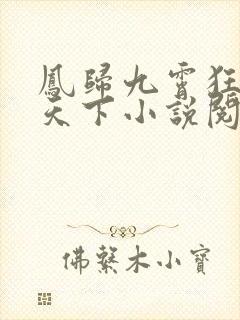 凤归九霄狂妃逆天下小说阅读封面