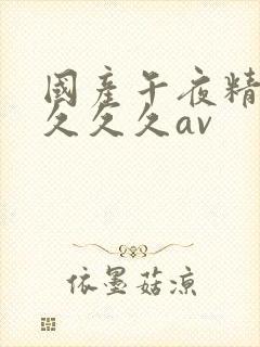 国产午夜精品久久久久av