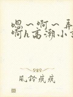 嗯～啊～弄嗯～啊h高潮小说