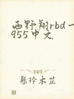 西野翔rbd一955中文封面