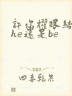 许你耀眼结局是he还是be