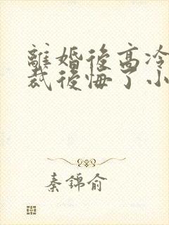 离婚后高冷女总裁后悔了小说笔趣