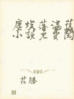 尘埃落满旧时光小说免费阅读