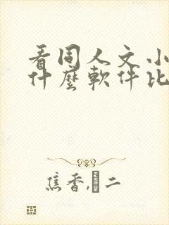 看同人文小说用什么软件比较好