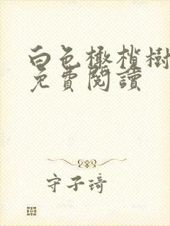 白色橄榄树全文免费阅读