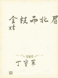 金枝面北眉南txt