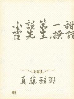 小说第一甜妻:霍先生,撩错了