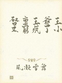 启禀王爷王妃她又穷疯了小说封面