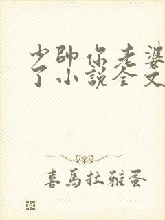 少帅你老婆又跑了小说全文免费阅读