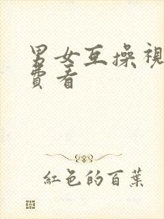 男女互操视频免费看