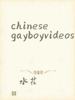 chinesegayboyvideos