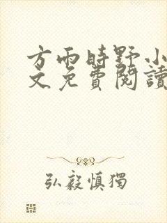 方雨时野小说全文免费阅读封面