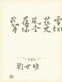 我在风花雪月里等你全文txt封面