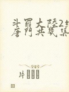 斗罗大陆2绝世唐门共几集