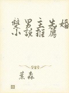 双男主先婚后爱小说推荐封面