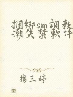 捆绑sm调教高潮失禁软件封面